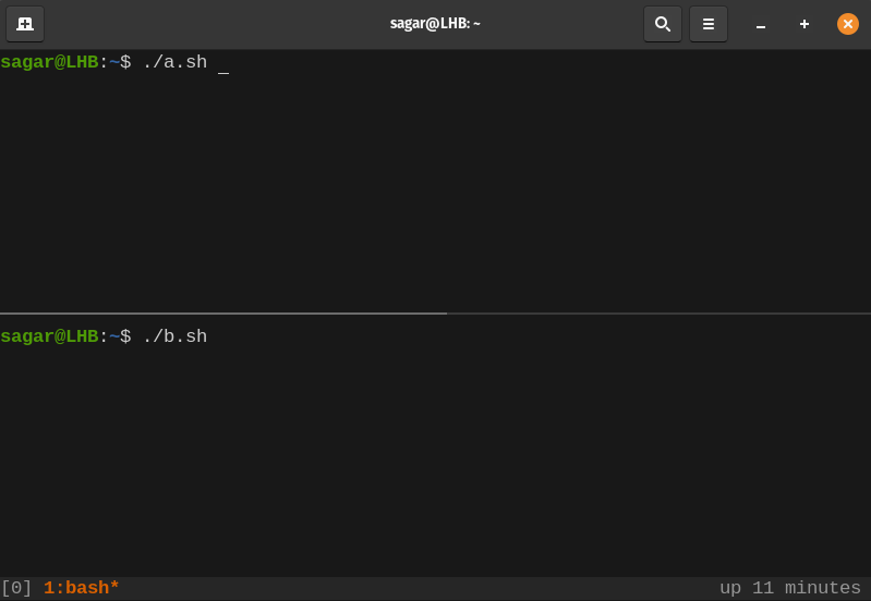 Advisory file lock with cooperative process