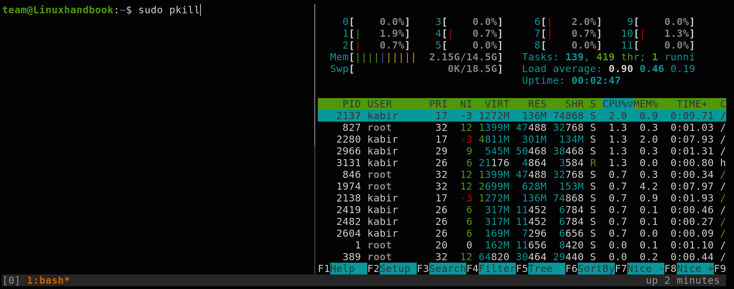 kill process of a different user using the pkill command