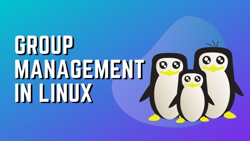 Group Management Linux