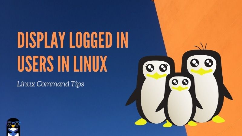 Logged In Users Linux