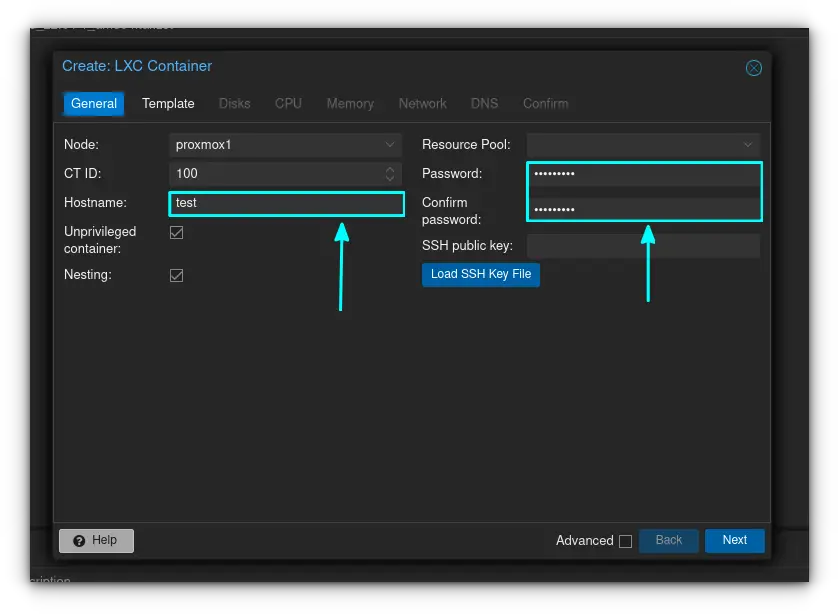 Set hostname and enter password. You need to confirm the password too. Other fields can be left as is