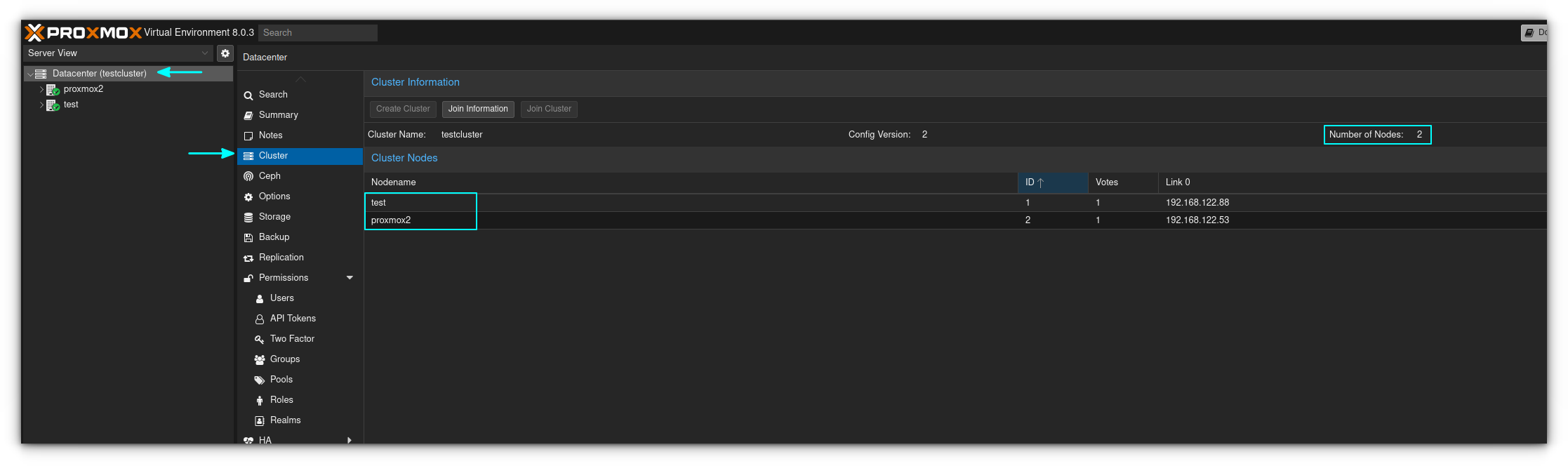 Listing the two nodes in your cluster