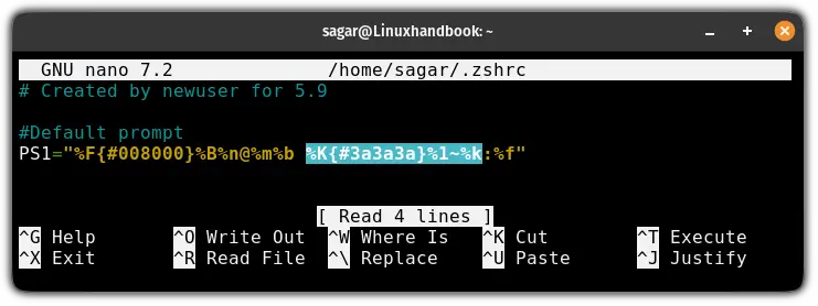 Add color to the working directory part in zsh