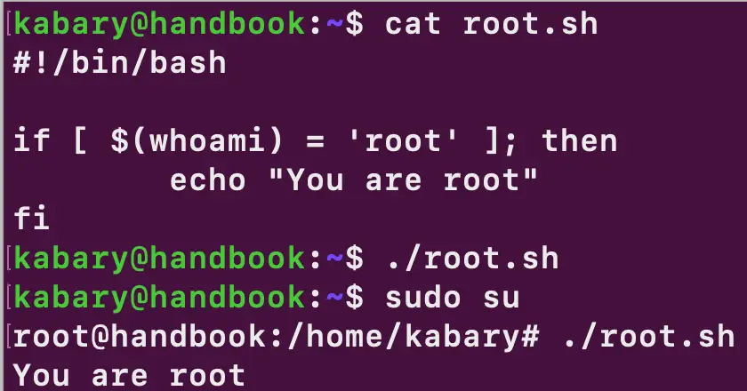 if statement in bash script