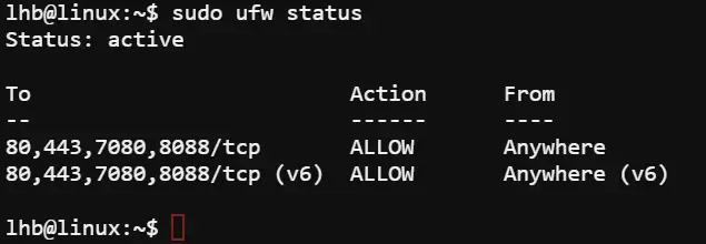 Check UFW firewall status