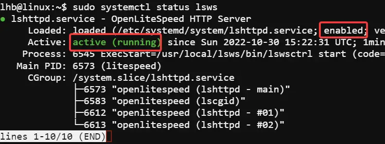 Check OpenLitespeedServer status