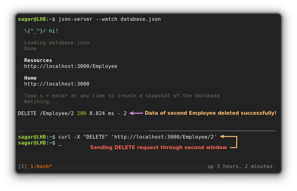 send a DELETE request with curl