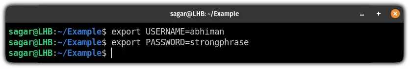 export environment variables using the export command in linux