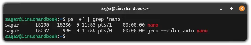 Find process from the ps -ef output using the grep command