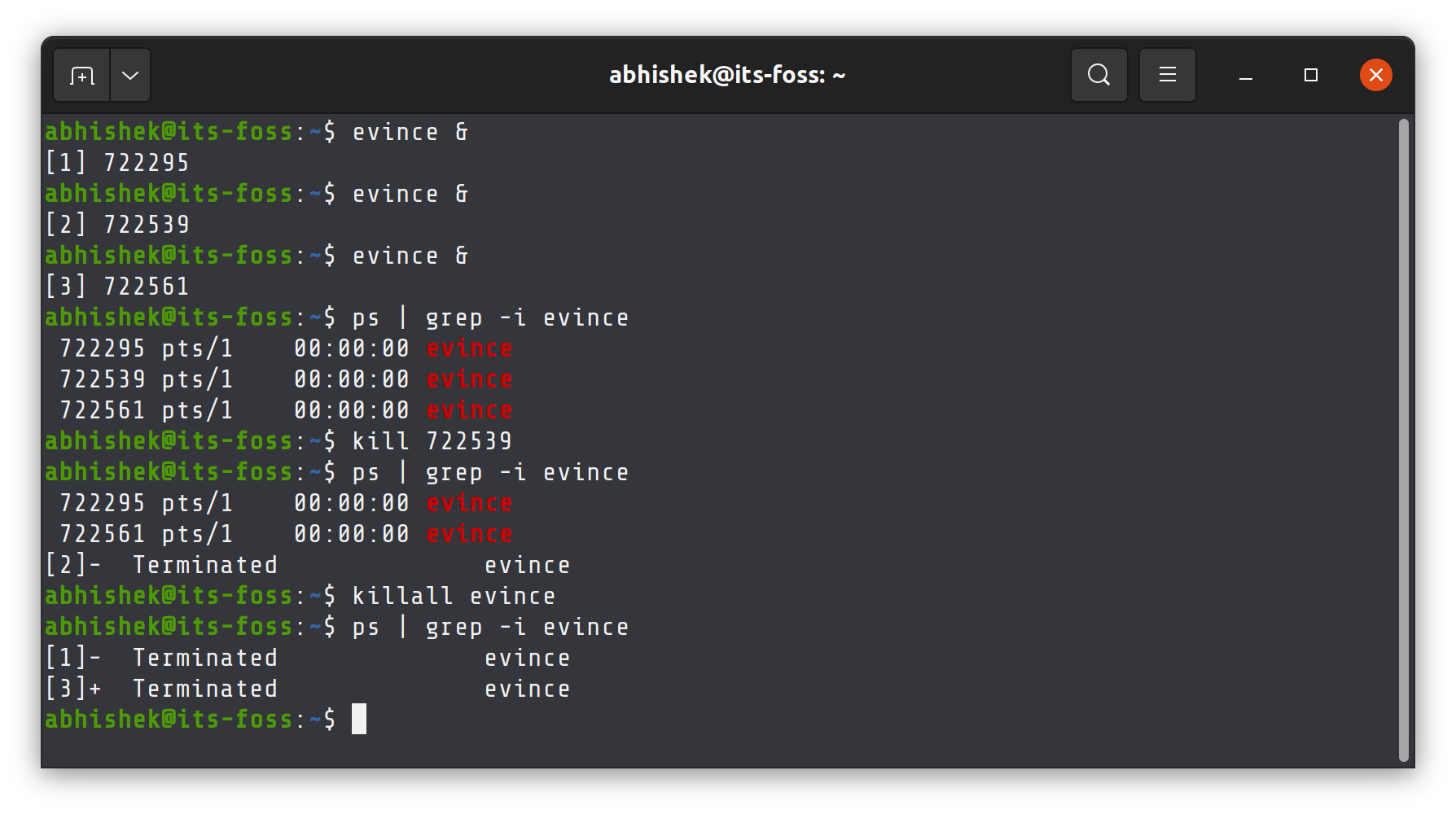 kill vs killall command example