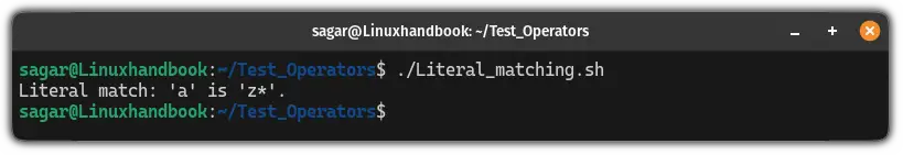 Literal matching using the == operator in bash