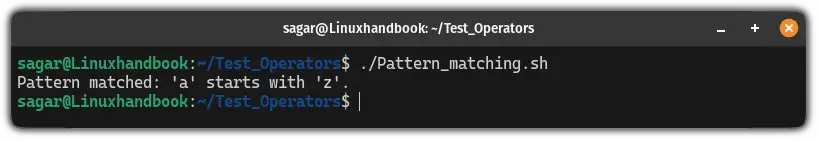 Pattern matching using the == operator in bash