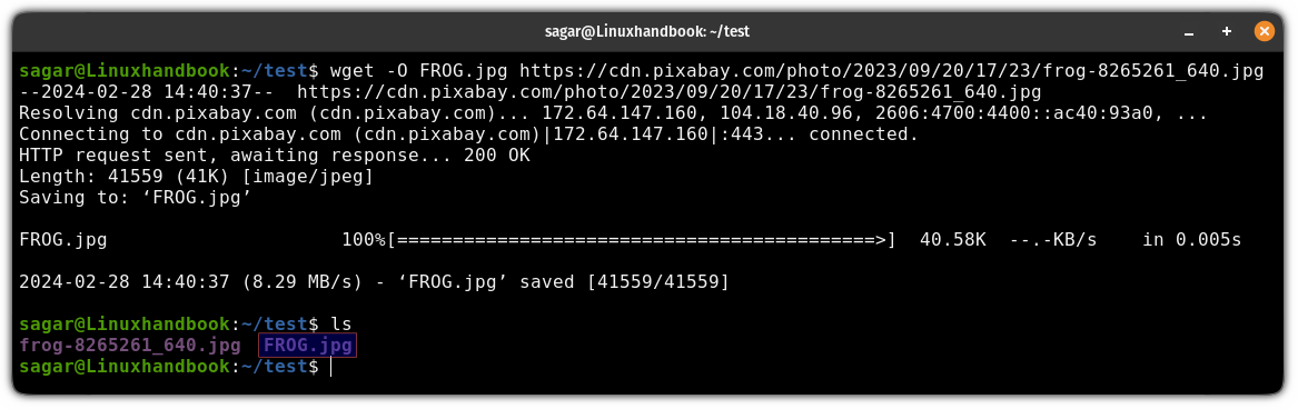 Save file with a custom filename using the wget command