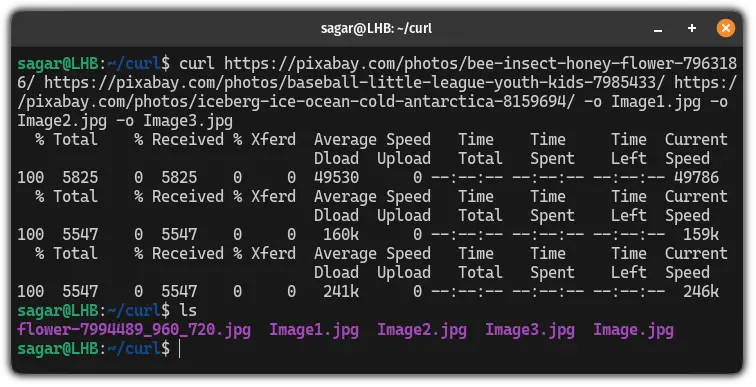 Save multiple files using the cURL command in Linux