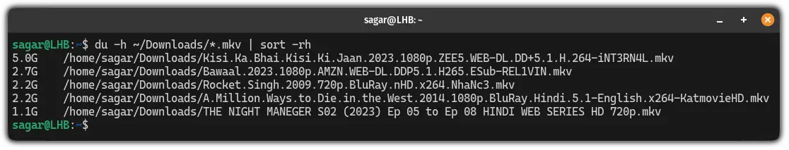 sort files based on filetype using the sort command