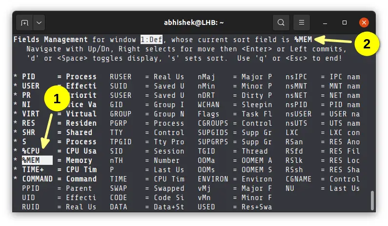 Sort top command on memory usage