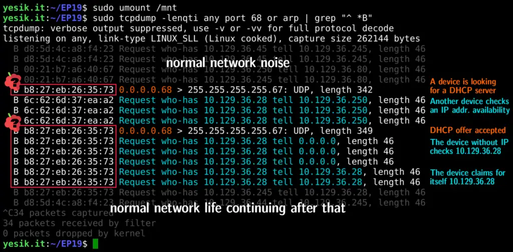 Capture of the broadcast packets send by the Raspberry Pi at startup