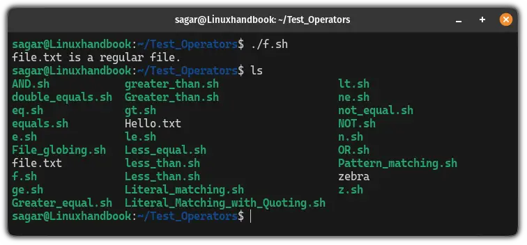 use -f operator in bash