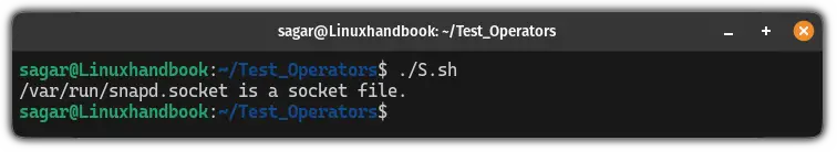 Use -S operator in bash to identify socket files