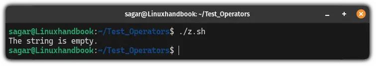 use -z operator in bash to find empty strings