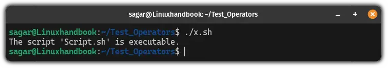 Use of the -x operator in bash