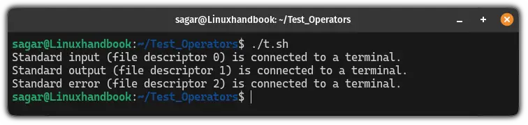 Use the -t operator in bash