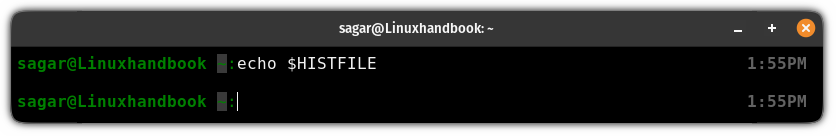 Verify if zsh history file already exist or not